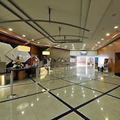 Hotel Novotel Sao Paulo Jaragua Convention