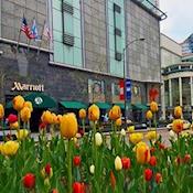 Chicago Marriott Downtown Magnificent Mile