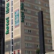 Ibis Paulista