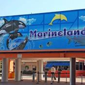 Marineland