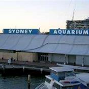 Sydney Aquarium