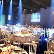 Disney Business Solutions