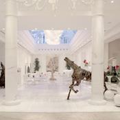 Boscolo Edextra Nice