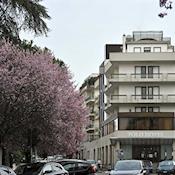 Polo Hotel - Polo Hotel