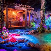 The Garden - Onedome