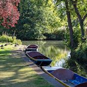 LMH Punts - Lady Margaret Hall