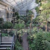 Conservatory - Barbican