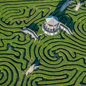 Hedge Maze - Longleat