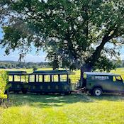 Train - Denbies Wine Estate