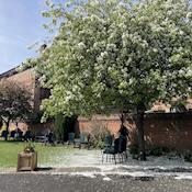 The Gardens - Merchant Taylors Hall