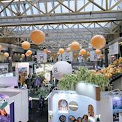 Grand Hall Exhibition - Old Billingsgate