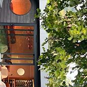 Wine Library - Denbies Wine Estate