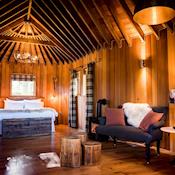 Treehouse Accommodation - The Woodlands at Hothorpe Hall