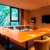 The Plane Tree - Radisson Collection The National Hotel, Brussels