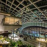 Sky Garden Exclusive Hire